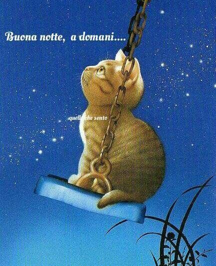 Buonanotte Immagini