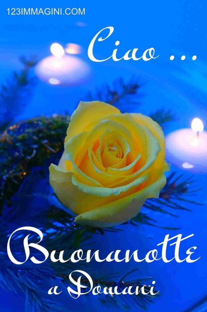 buona notte amica mia