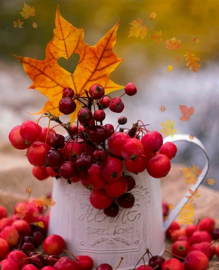 Godetevi i colori dell’autunno con queste immagini domenicali