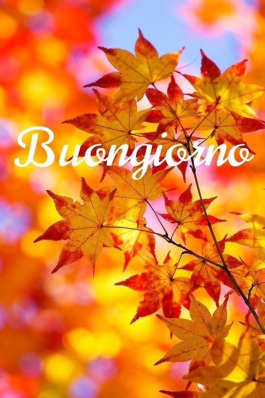 buona domenica autunnale