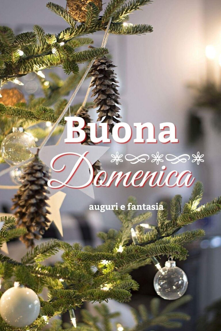 Le migliori “buona domenica gif” per farvi sorridere (2023)