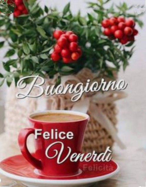 buongiorno e buon venerdi