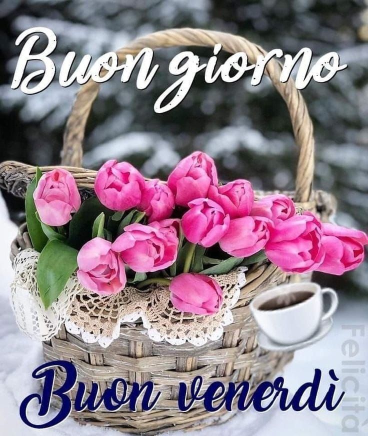 buongiorno e buon venerdi