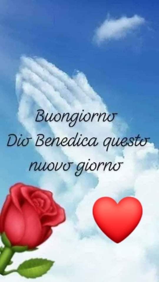 buonanotte amica mia