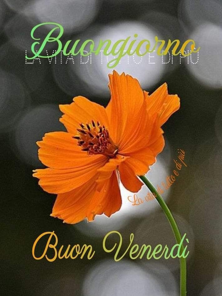 buon venerdi